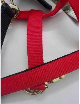 CAVEZZA IN NYLON FIBBIE OTTONE PER CAVALLI-8870