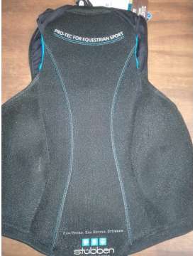 PARASCHIENA STUBBEN ADULTO-9262