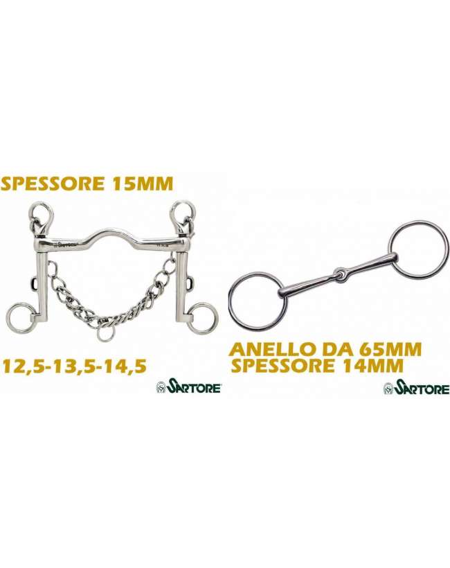 morso e filetto per briglia da dressage 