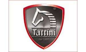 TATTINI